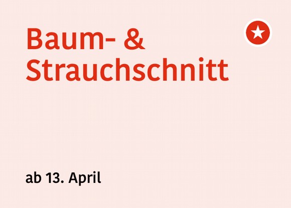 Baum- und Strauchschnittabfuhr