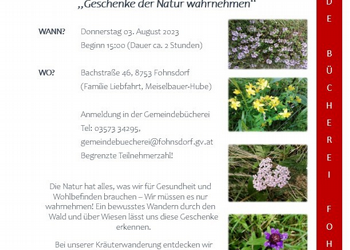 Wildkräuterwanderung