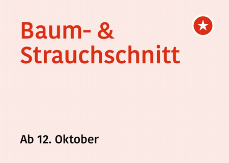 Baum- und Strauchschnittabfuhr